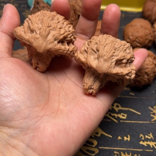 官帽异形蘑菇云46尺