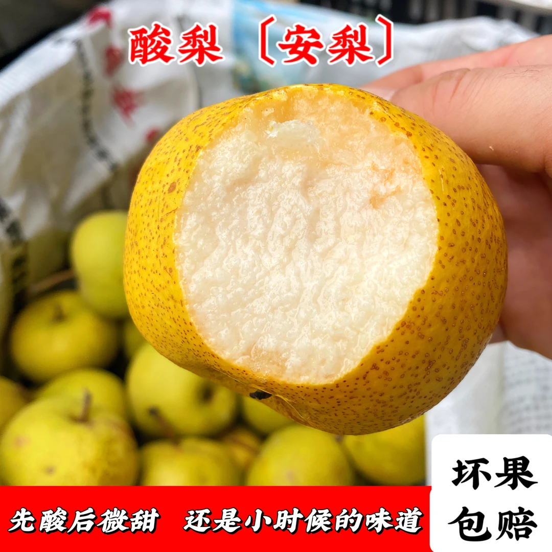 精选正宗河北酸梨京东包邮安梨新鲜水果酸爽多汁薄皮细渣产地直发