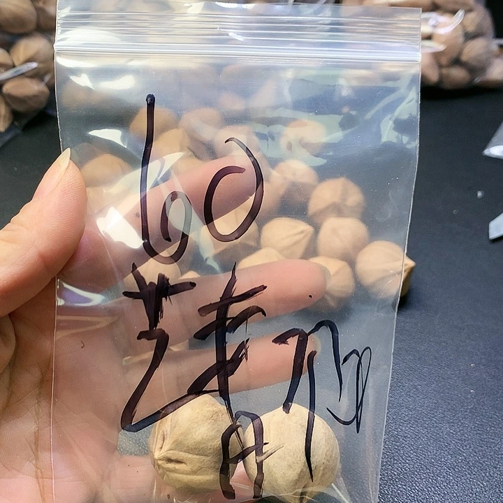 吊坠橄榄核艺*啊