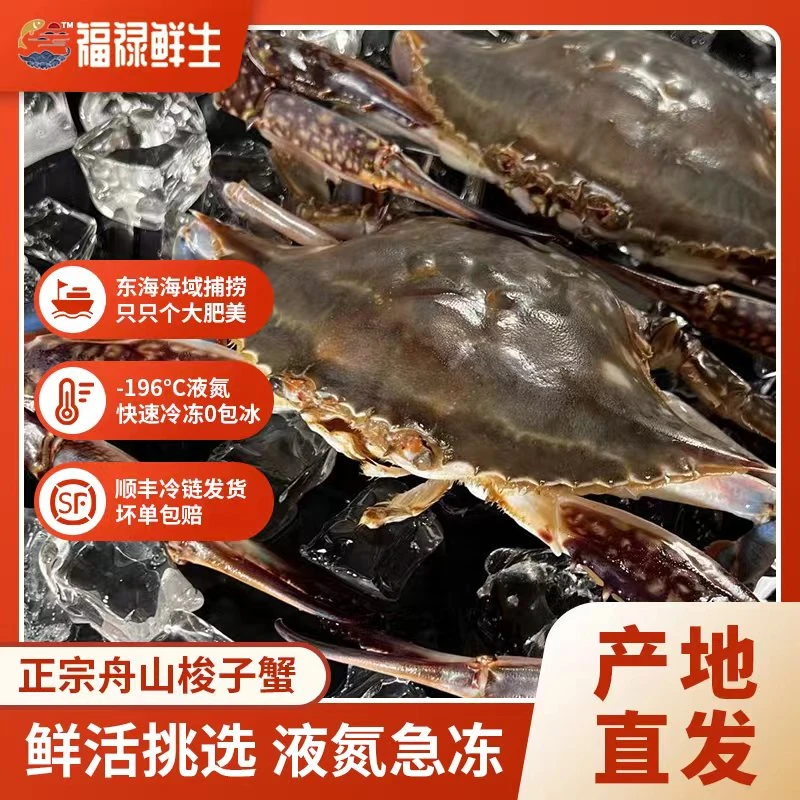 液氮锁鲜舟山梭子蟹4-6两/只公蟹拍2斤送1斤 3斤到手5-7只【冻蟹】