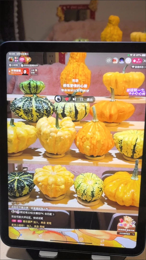 家居摆件墨西哥葫芦