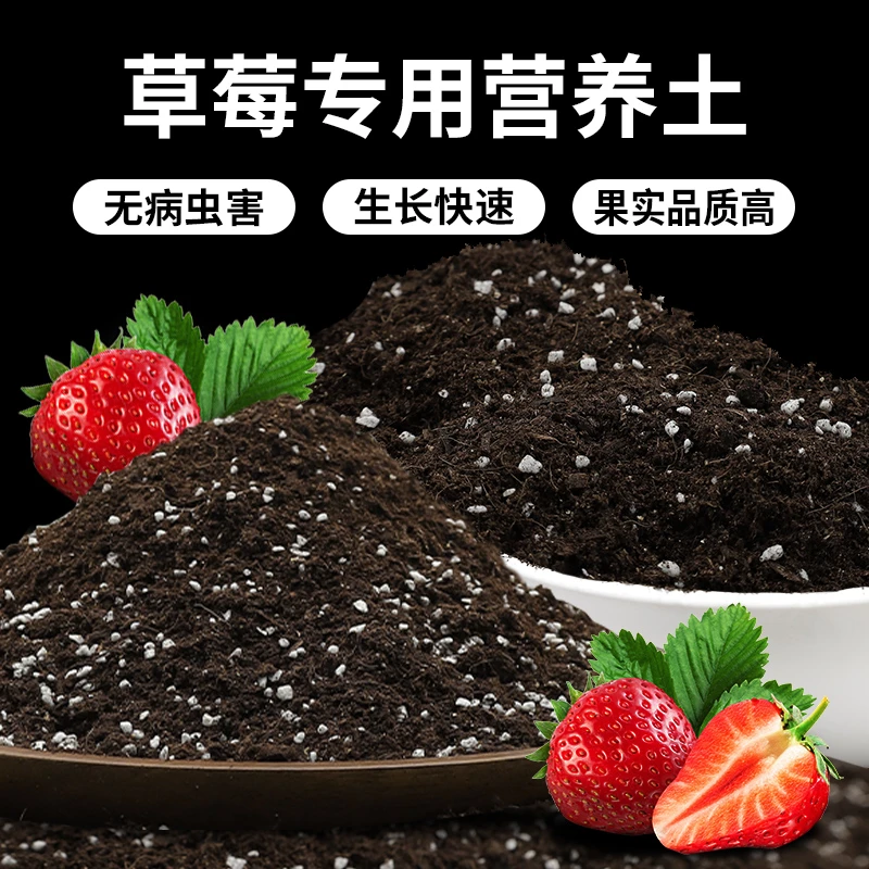 草莓专用营养土树土壤草莓盆栽花店种植土有机养花土肥料有机养花