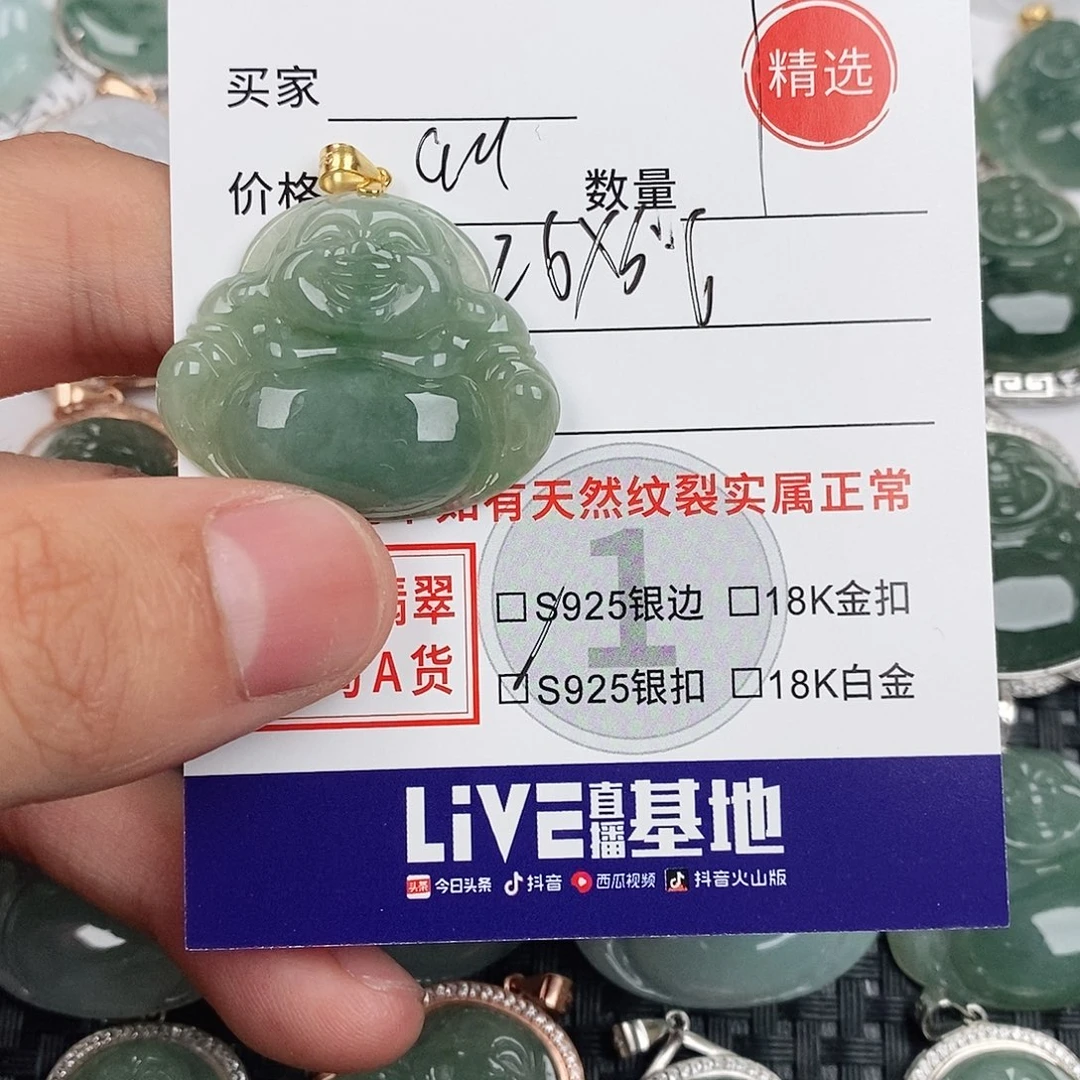 翡翠银S925镶嵌颈饰