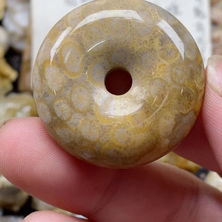 颈饰未镶嵌硅化珊瑚（珊瑚玉）