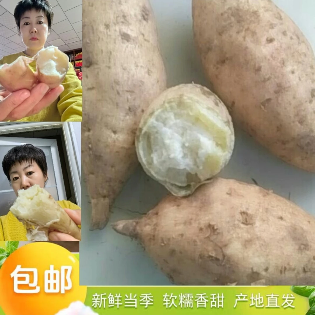新鲜采摘白玉薯香糯粉甜好吃的沙漠自然馈赠