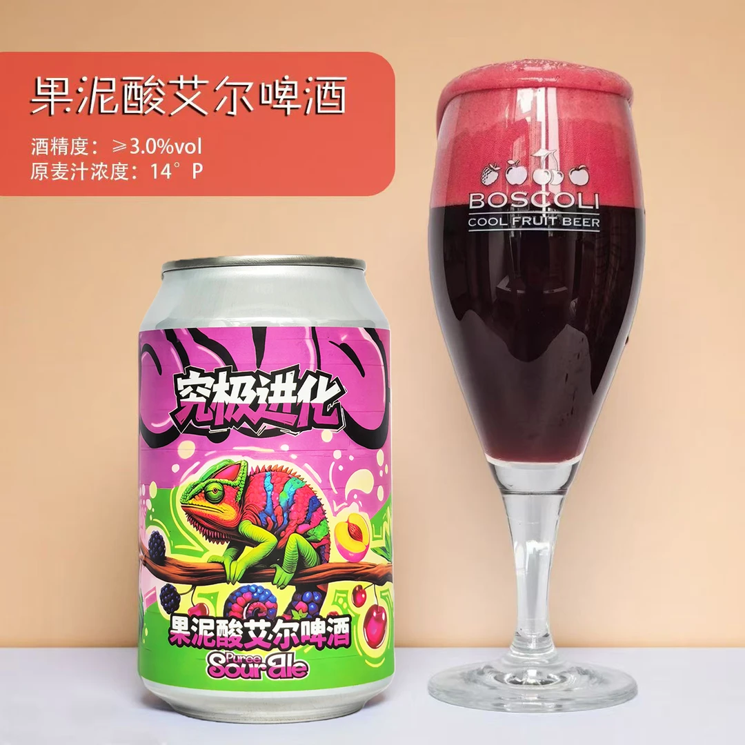 跃迁计划究极进化流体果泥酸艾尔啤酒330ml装