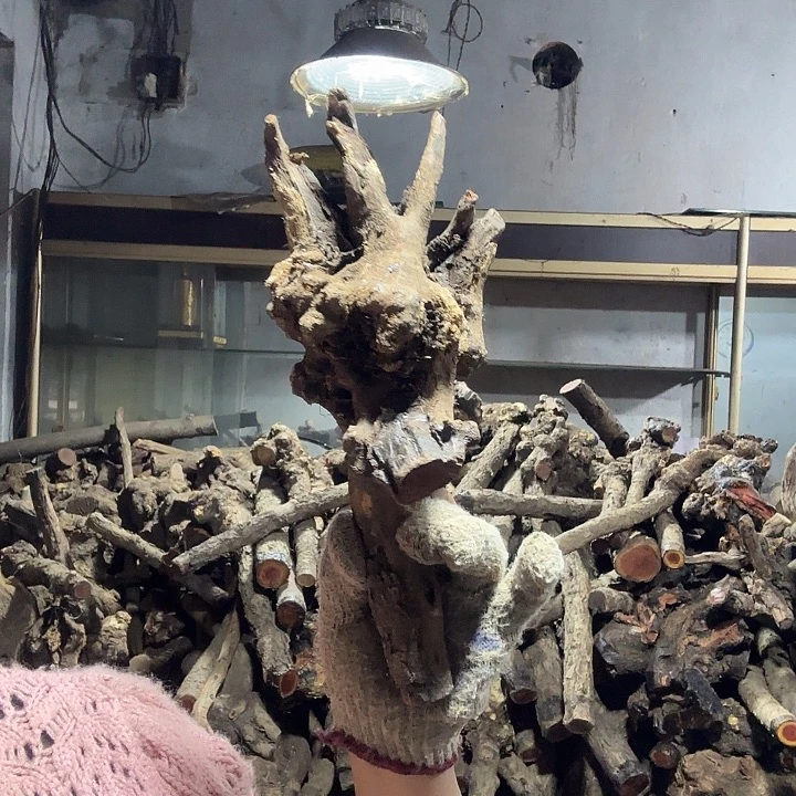 宽***行香榧木火琉璃的故事是什么