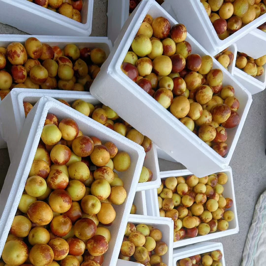 沾化大棚一代冬枣【10斤礼盒装】