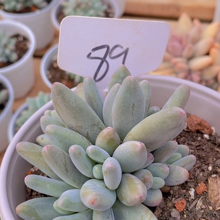 这么大个人都有女朋友