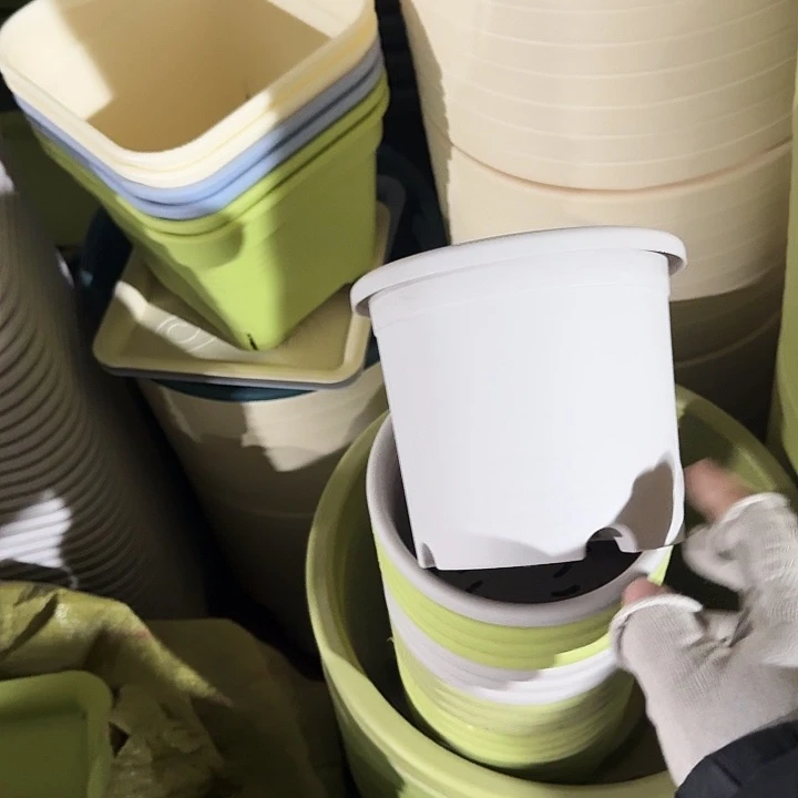 口径14口径20个无托灰白微瑕