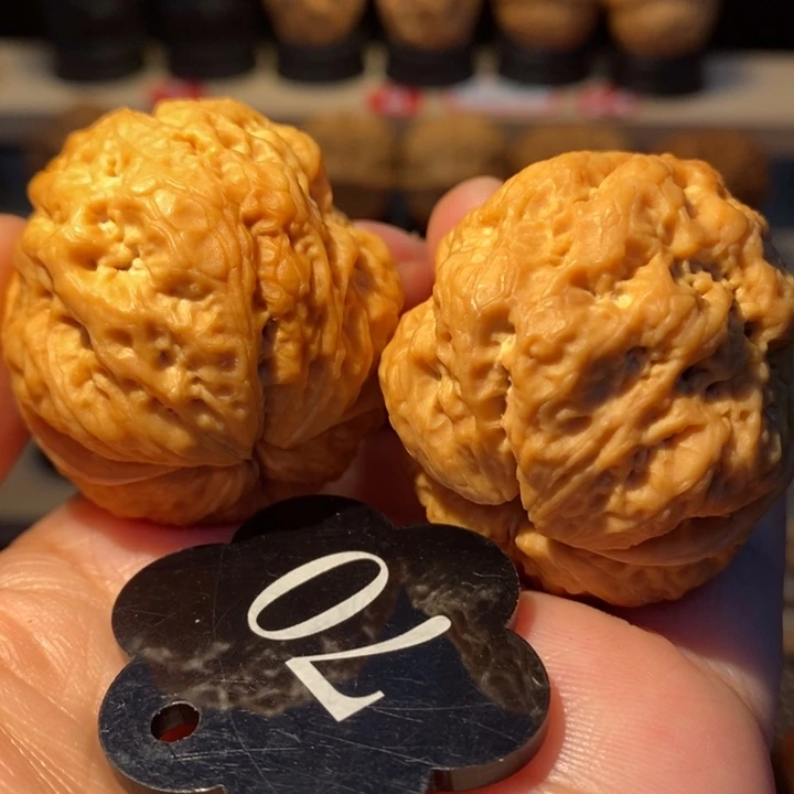 9号视频同款41尺寸加