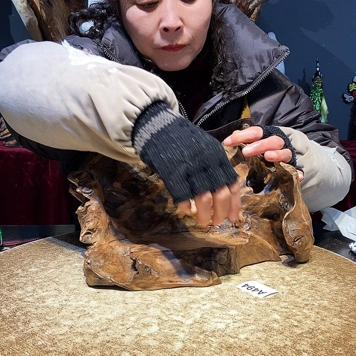 明494。株木随行小根艺