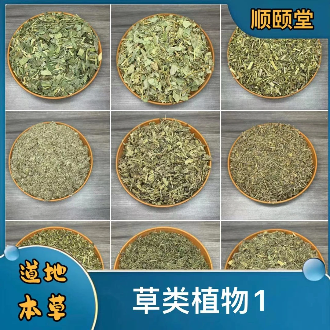【草类植物】小蓟鹅不食草半枝莲垂盆草车前草茵陈泽漆金钱草淡竹叶