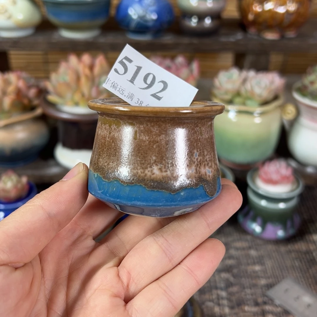 红陶景德镇陶瓷……