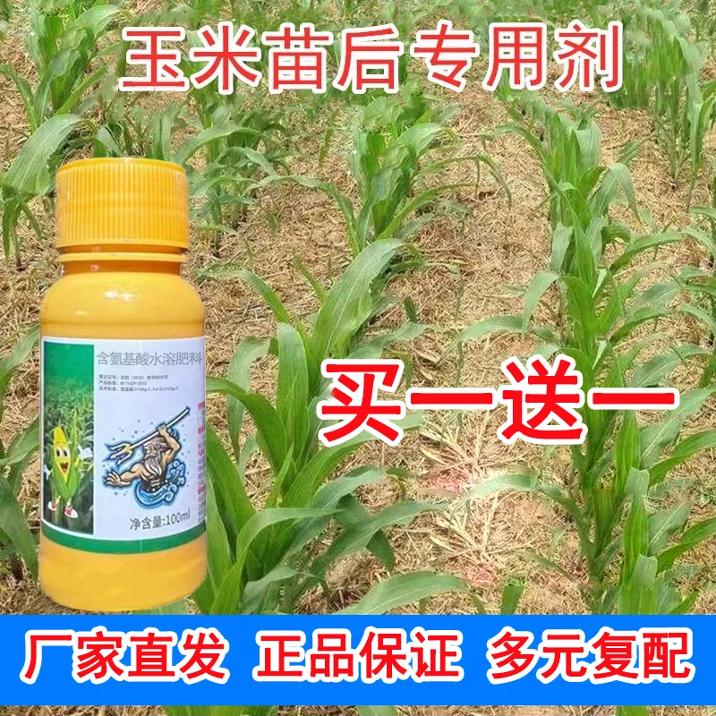 多效合一玉米苗后专用安全不伤苗高含量农氨基酸水溶肥