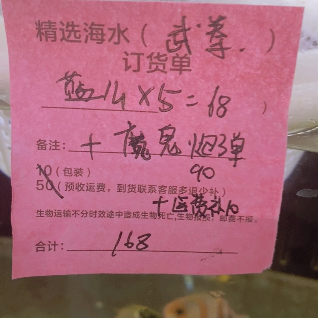 海水鱼蓝魔*5➕魔鬼炮弹➕运费补10