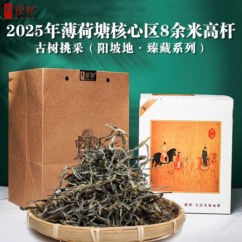 琅邦2025年薄荷塘核心区8余米高杆古树挑采（阳坡地·臻藏系列）