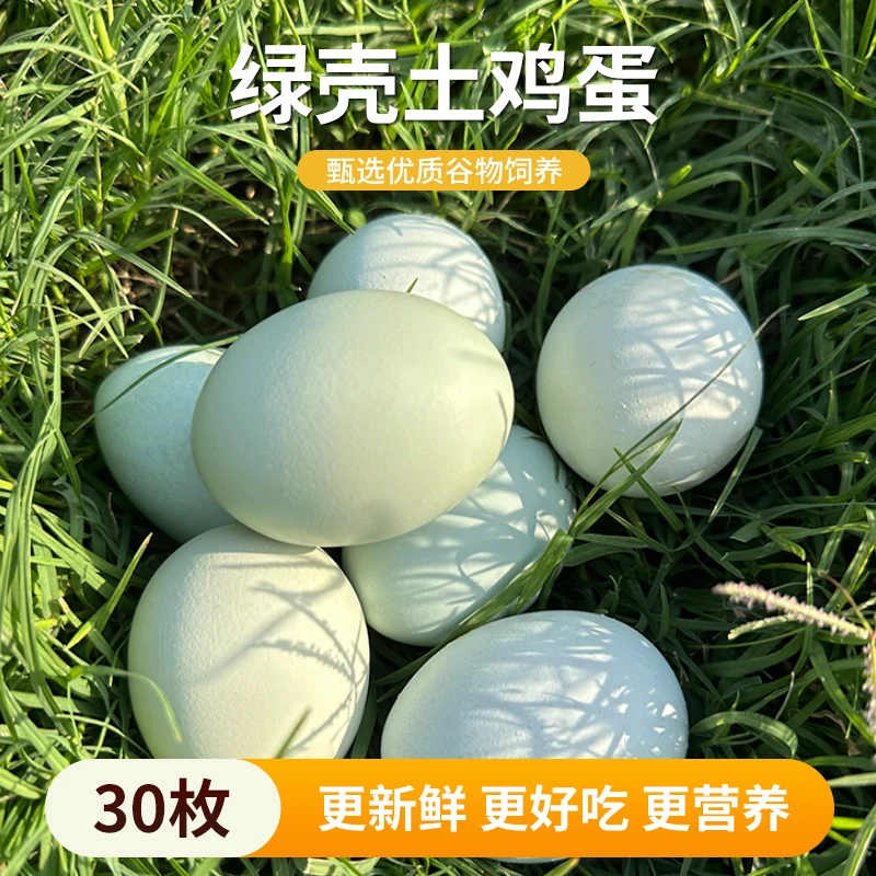绿壳茶花土鸡蛋