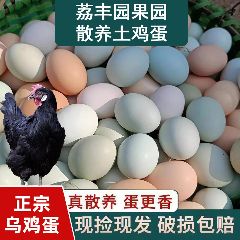 50枚绿壳4.5斤~5斤正宗农家散养土鸡蛋现捡现发 自产自销 荔丰园