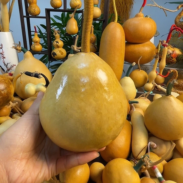 记***本藤手把葫芦精品系列29
