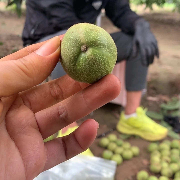 核桃把件异形青皮核桃乾隆磨