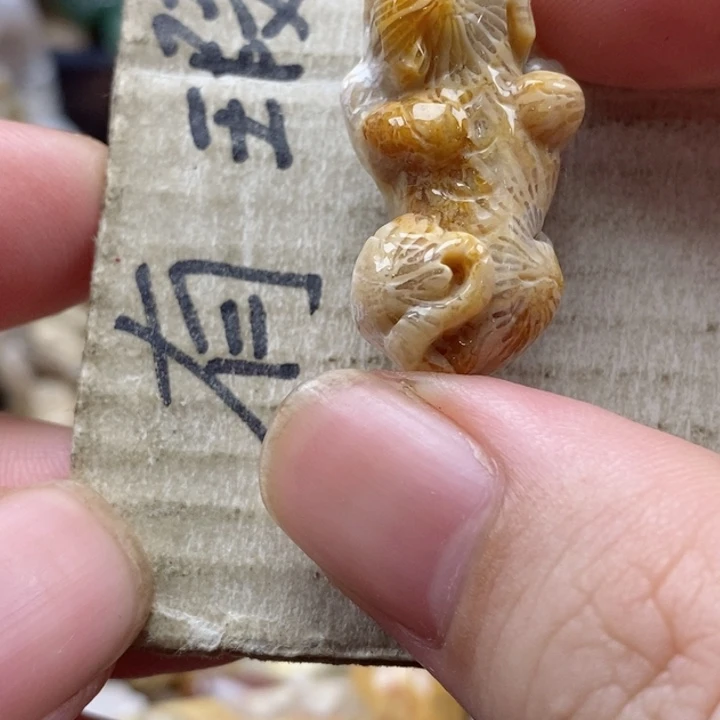 硅化珊瑚（珊瑚玉）未镶嵌颈饰光***事小吊坠