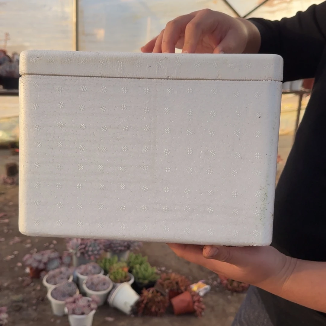 保温箱零下地区必拍