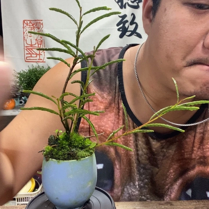 王**啵一物一拍所见即所得127