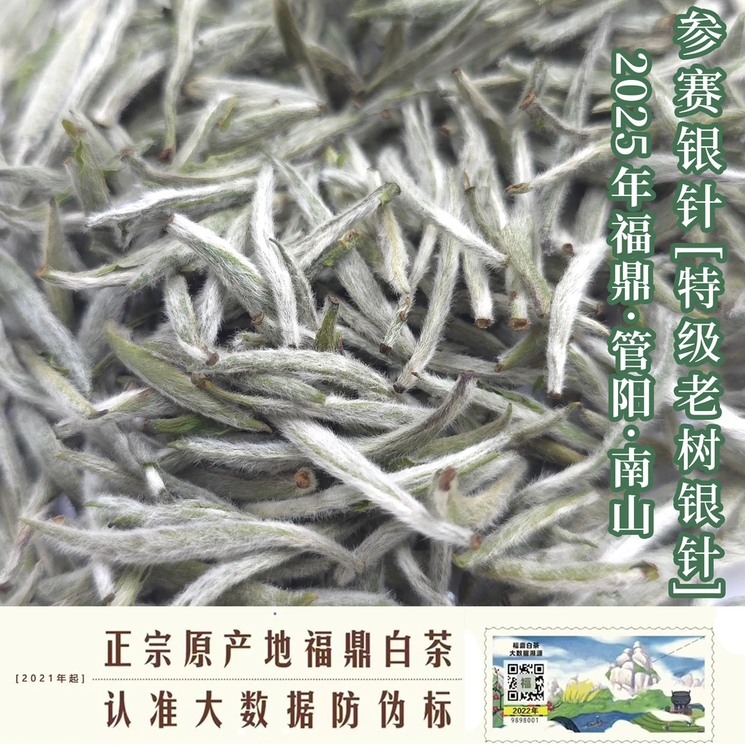 【福鼎白茶·管阳镇】2025年金奖白毫银针·大国精品杯获奖茶泡袋装