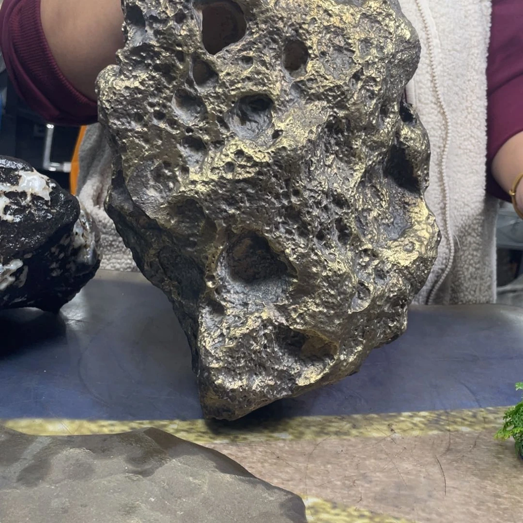 全场都要说了好烦哦