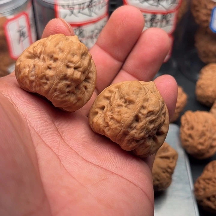 把件文玩核桃古蝉