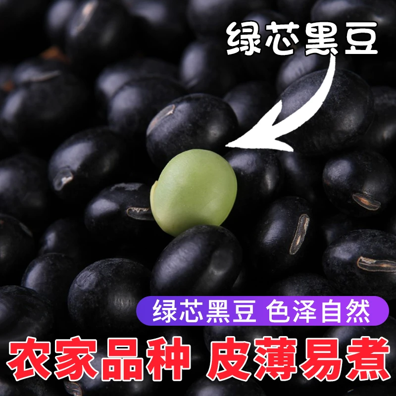 绿心黑豆生的新货 打豆浆东北黑皮绿芯农家青仁乌豆绿五谷杂粮