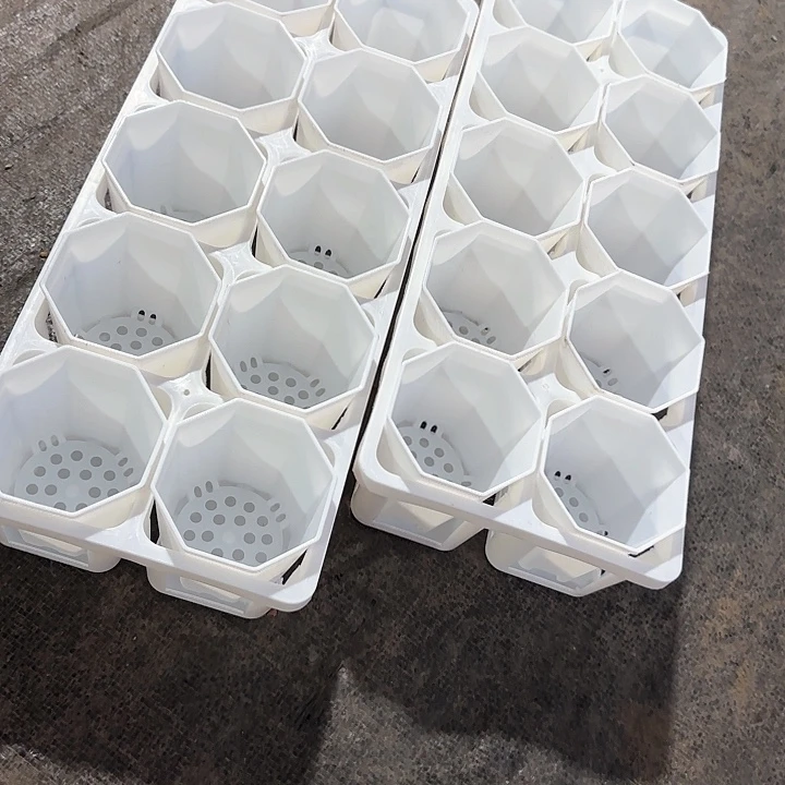 7公分盆20个含托架