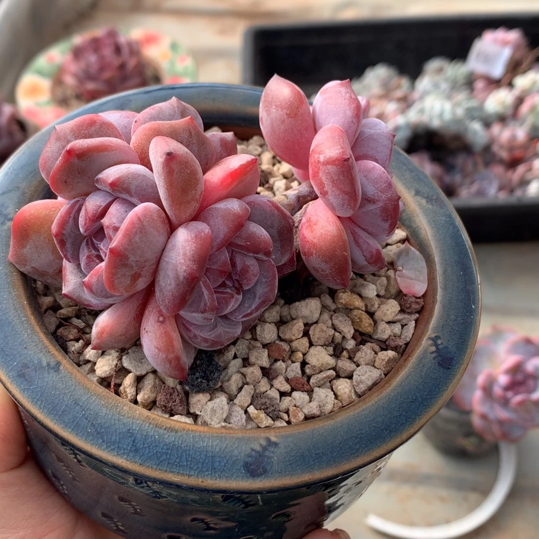 哈哈哈哈哈哈哈哈哈哈哈