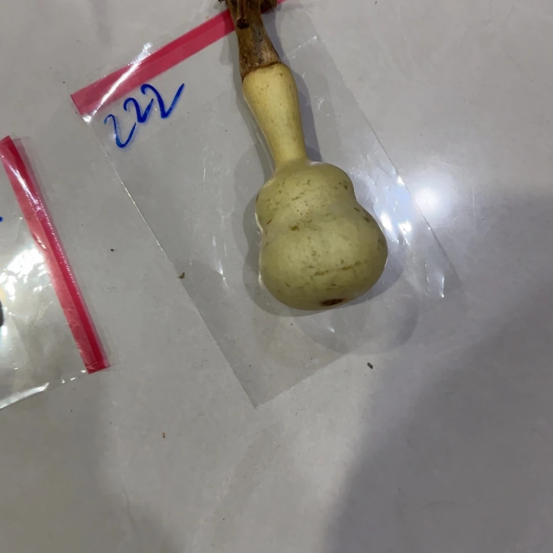 *****青皮不包成青皮不包成