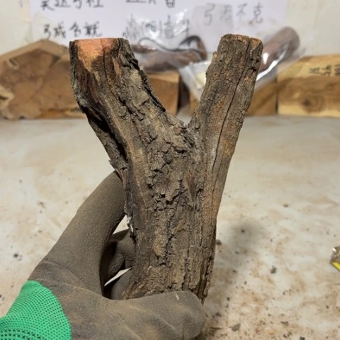 大果紫檀（缅甸花梨）木**弓