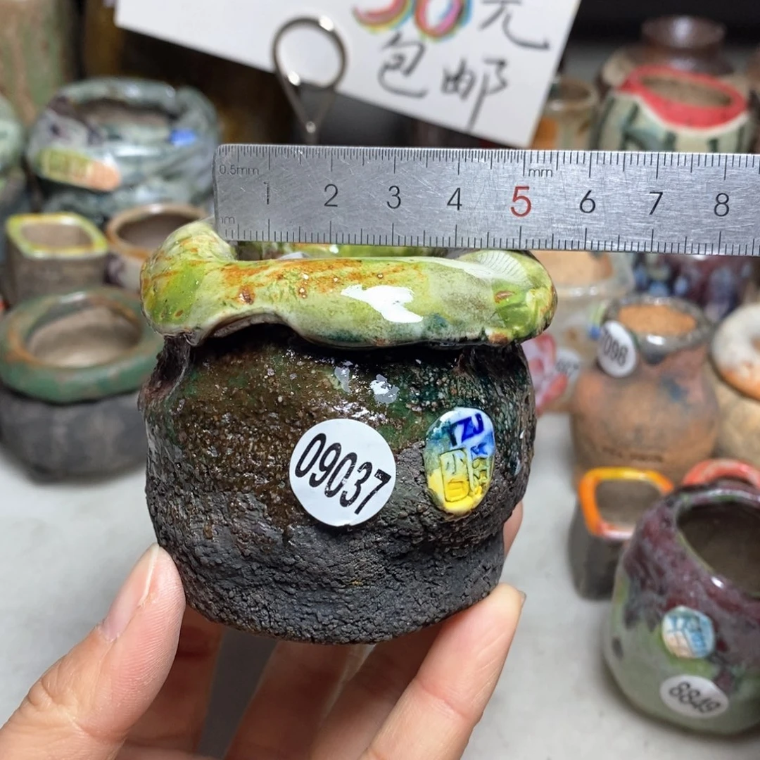 花盆拍1送一个小礼物