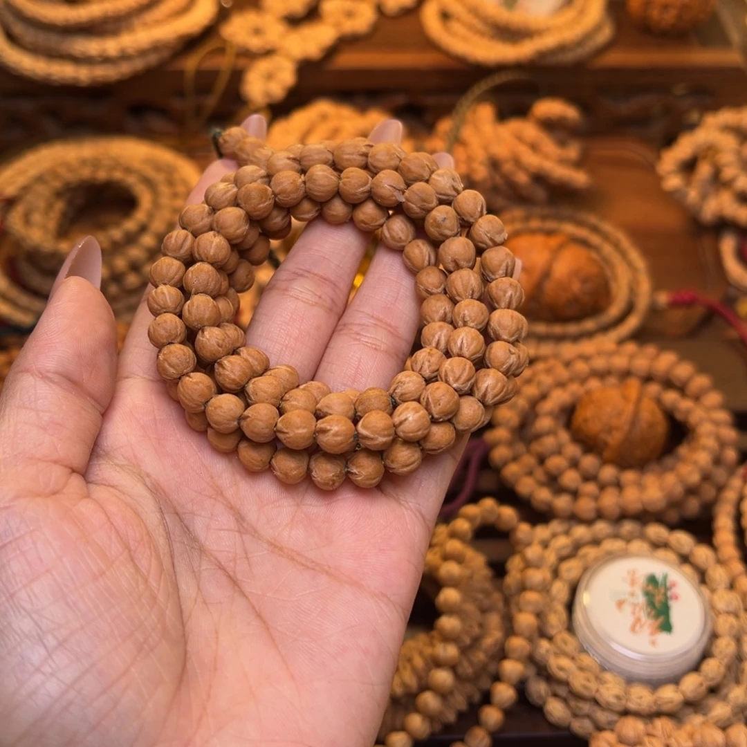 魅***！木质类原桩红芽长串