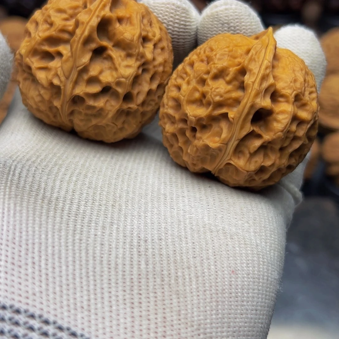 41尺寸开播福利 麒麟绣球