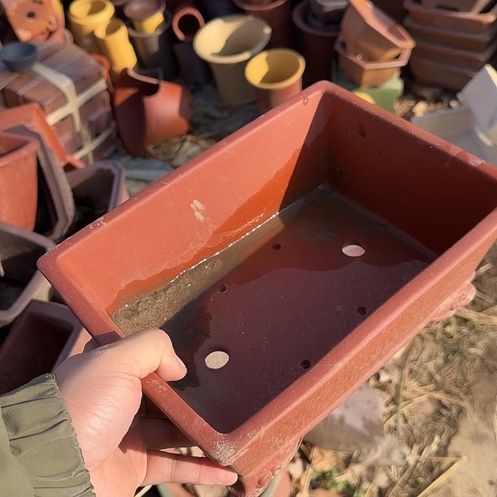 你要吃好了我才给他们打了两天就没吃到我