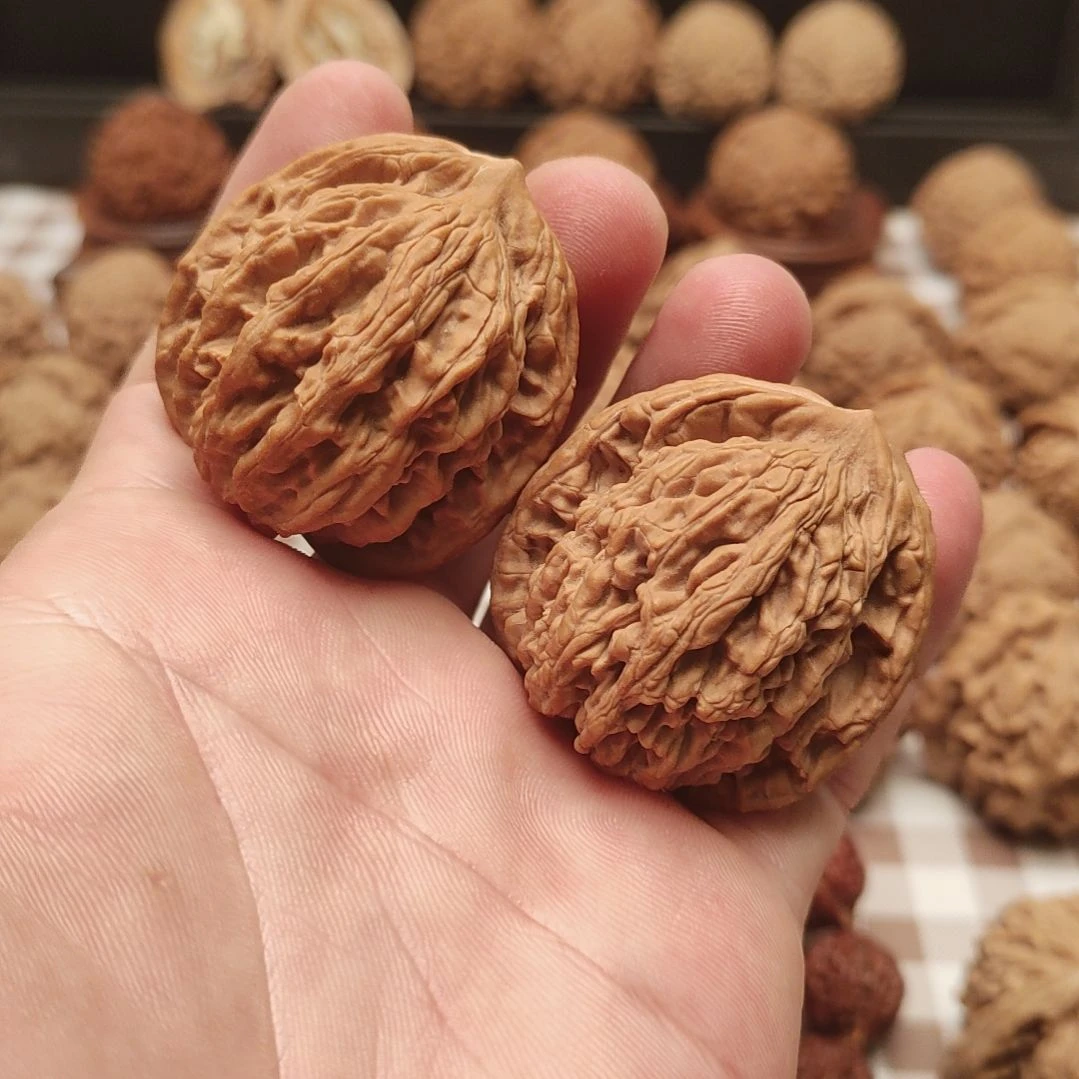 大叶紫檀（黑酸枝木类）蓟县山地麦虎手把件