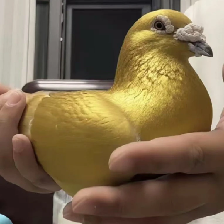 你最喜欢最有价值的液压