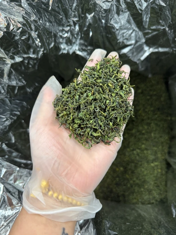 【明前烘青】2025年豆香又绵柔 不苦涩 色绿