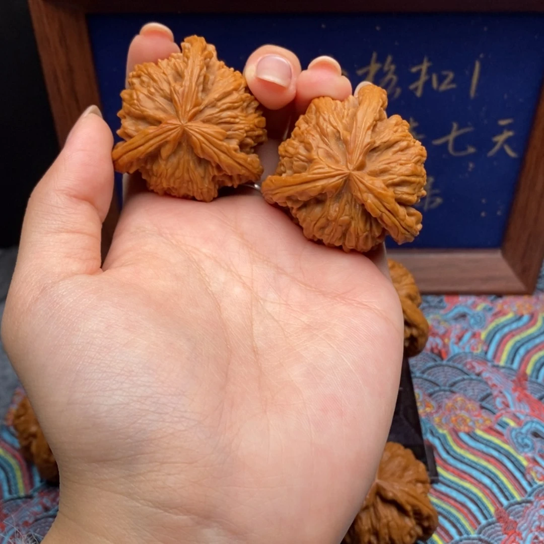 【闪购商品】阳****哈白狮