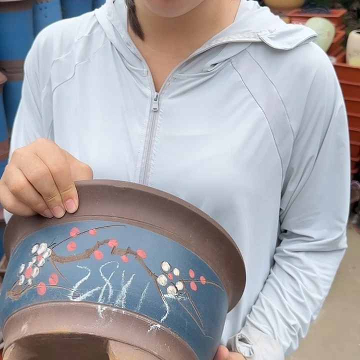 蓝富贵点菜大花盆