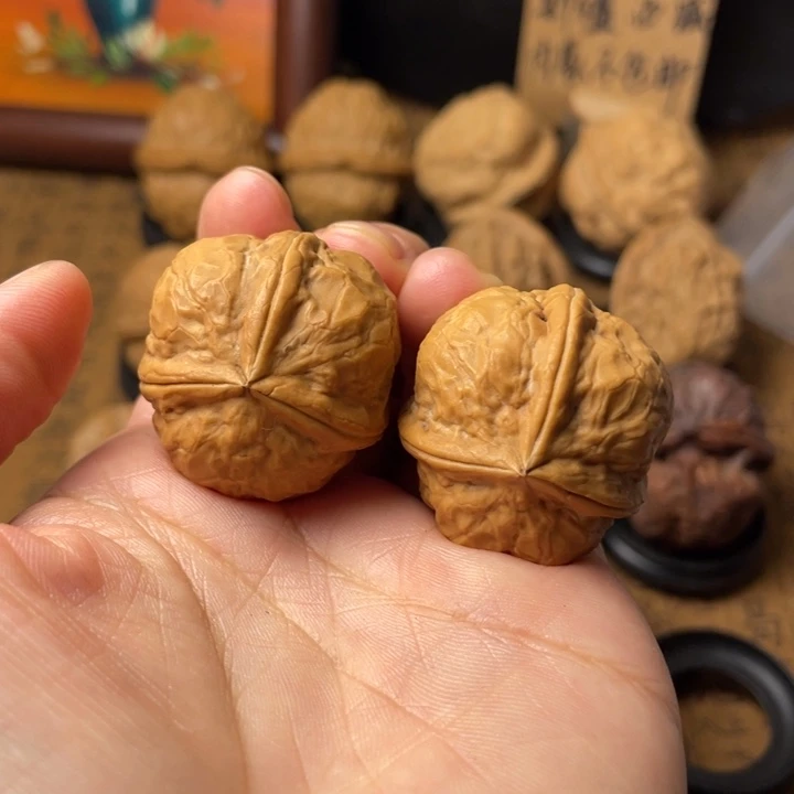 余***好云南野生铁核桃编号65