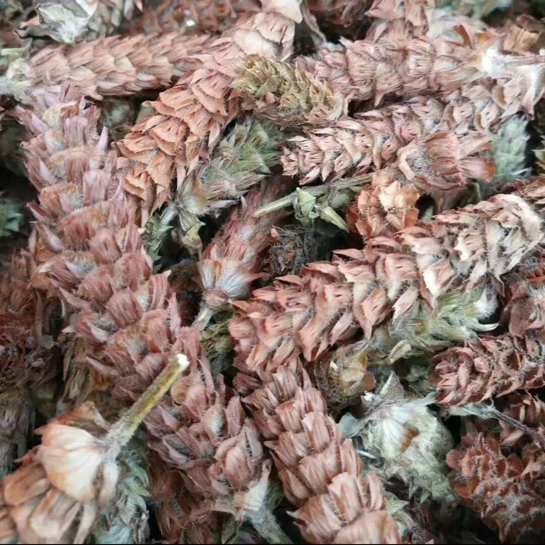 【小舒收山货】夏枯草 云南高原好货