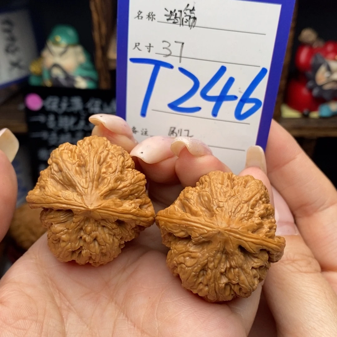 文玩核桃吊坠37大粗筋