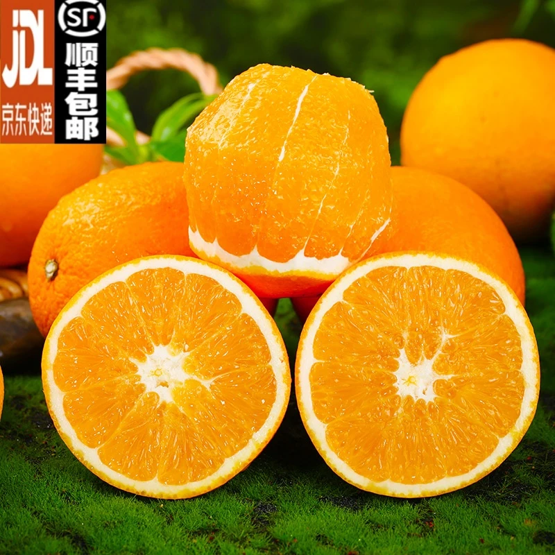 【田觅鲜】奉节脐橙5斤单果65mm起