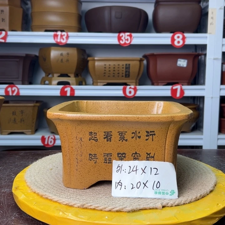紫砂花盆蛇年大吉